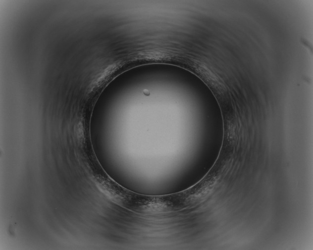 X0000096730256200802121321