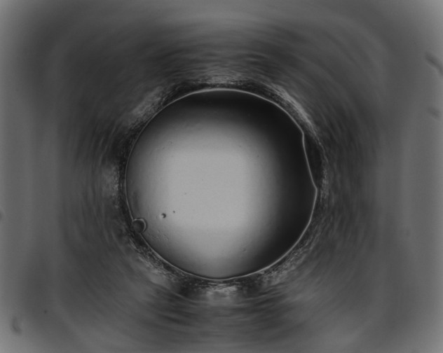 X0000096730257200802121321
