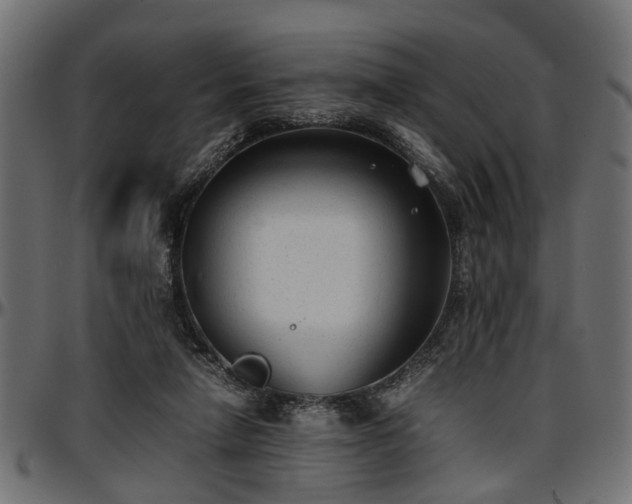 X0000096730258200802121321