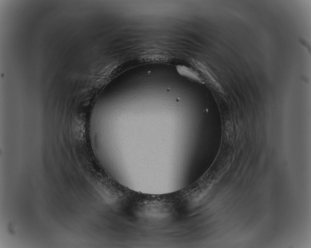 X0000096730259200802121321