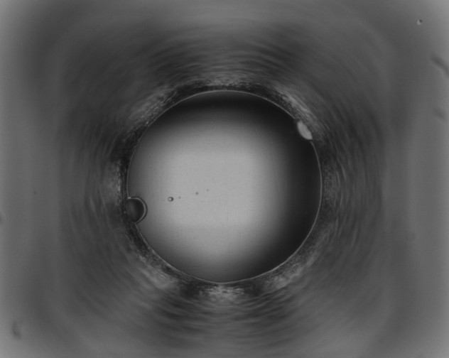 X0000096730261200802121321