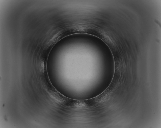 X0000096730262200802121321