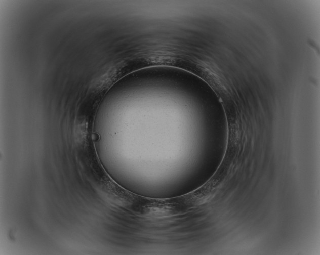 X0000096730263200802121321