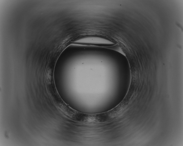 X0000096730264200802121321