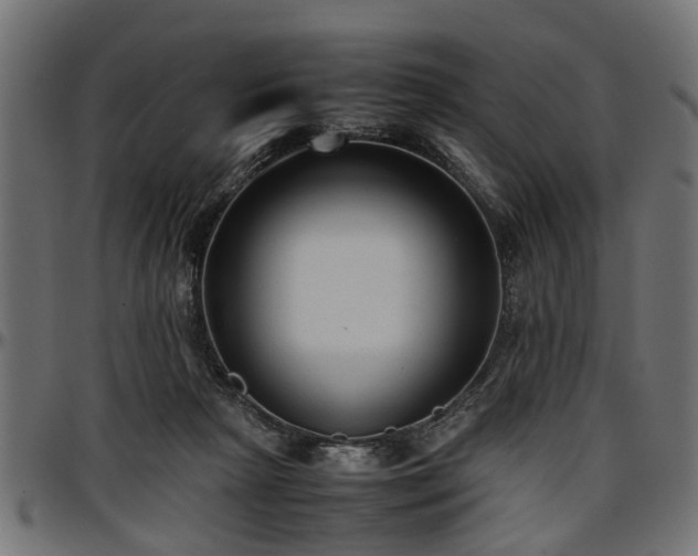 X0000096730265200802121321