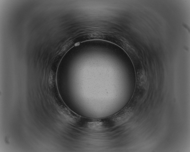 X0000096730266200802121321