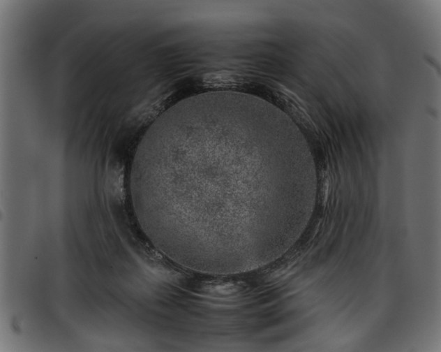 X0000096730267200802121321