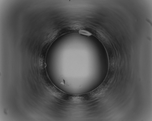 X0000096730268200802121321