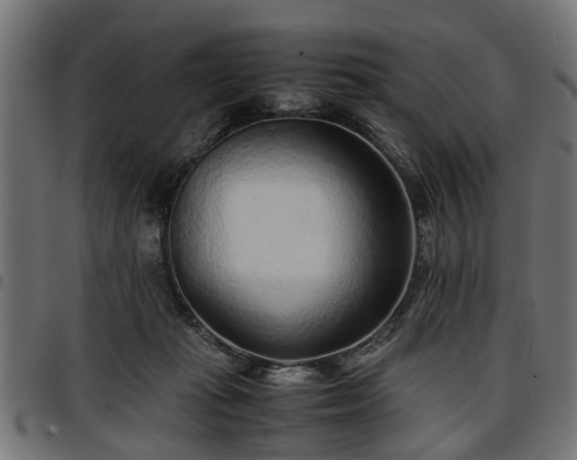 X0000096730269200802121321