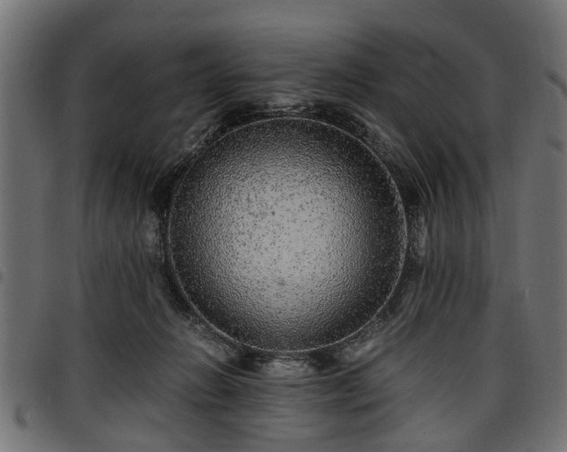 X0000096730270200802121321