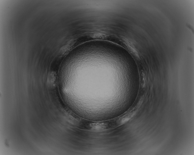 X0000096730273200802121322