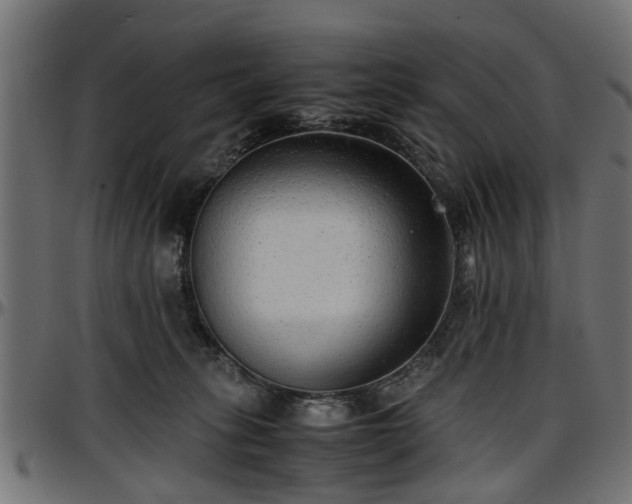 X0000096730275200802121322