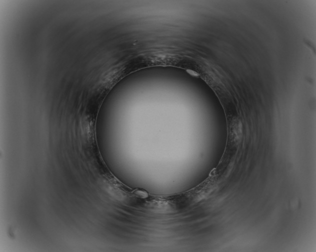 X0000096730276200802121322