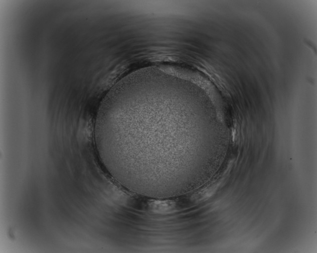 X0000096730277200802121322