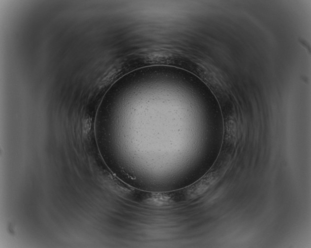 X0000096730278200802121322