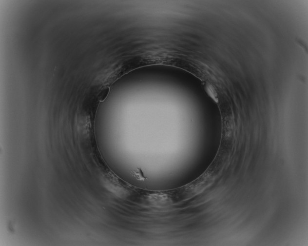 X0000096730279200802121322