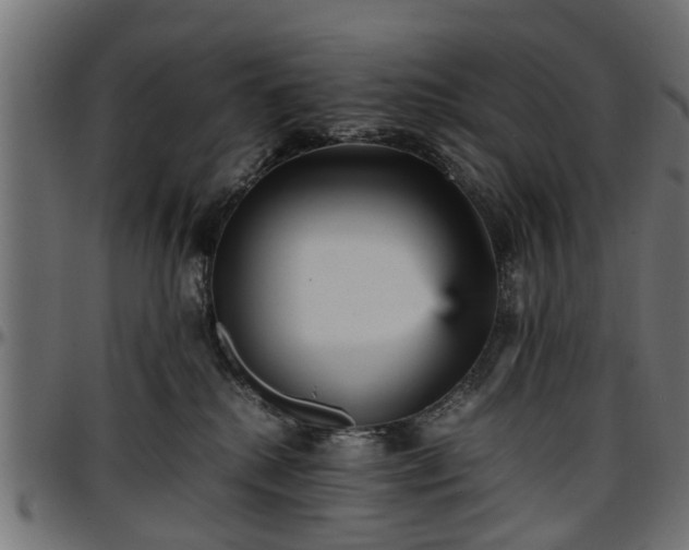 X0000096730280200802121322