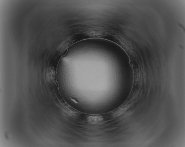 X0000096730281200802121322