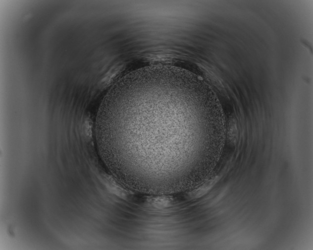 X0000096730282200802121322