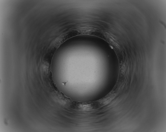 X0000096730283200802121322