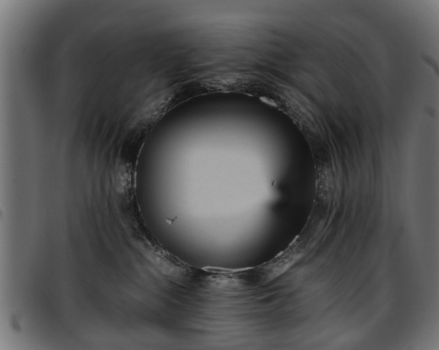 X0000096730284200802121322
