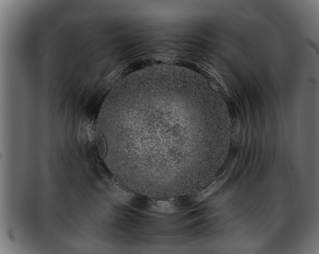 X0000096730285200802121322