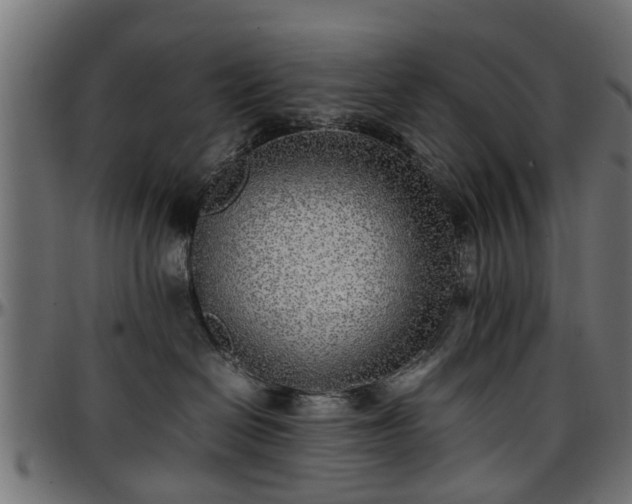 X0000096730286200802121322