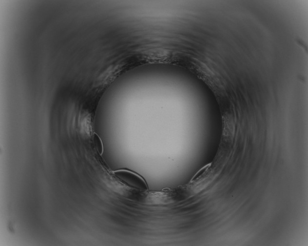 X0000096730287200802121322