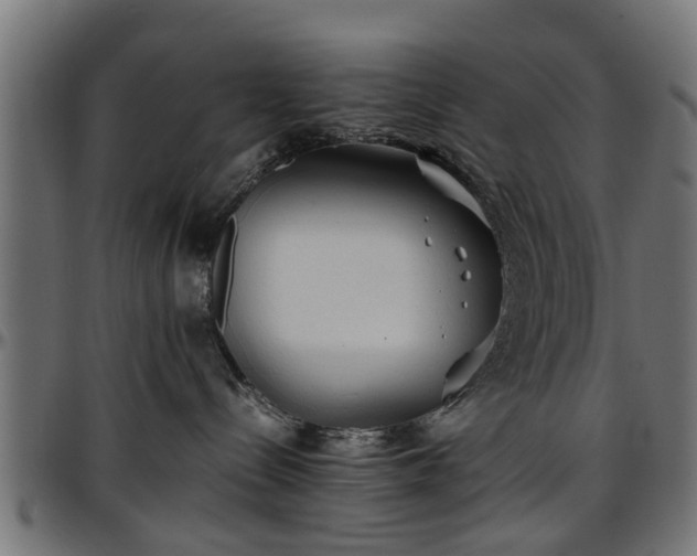 X0000096730288200802121322