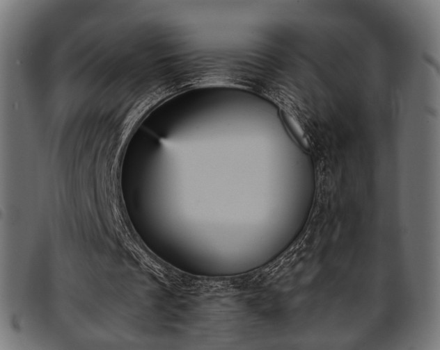 X0000096730289200802121321