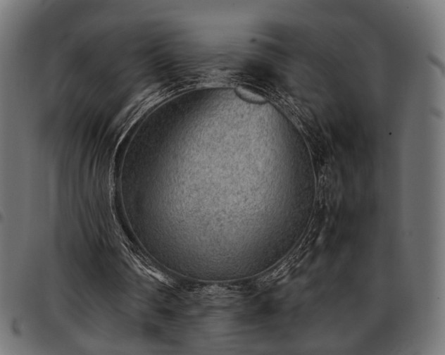 X0000096730290200802121321