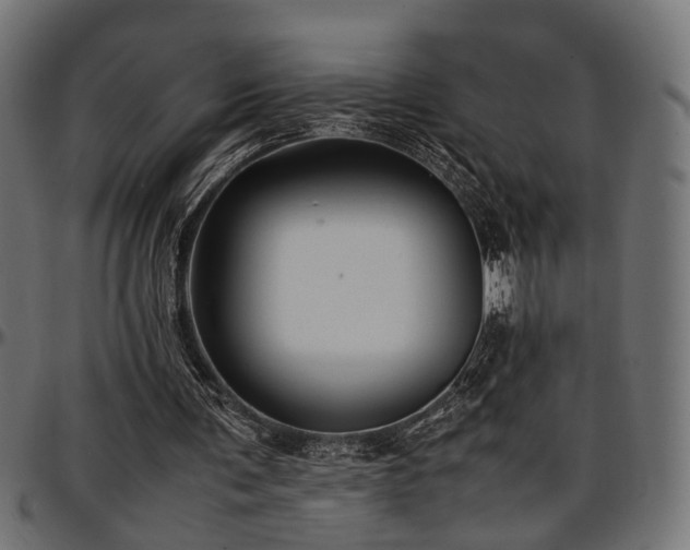 X0000096730291200802121321