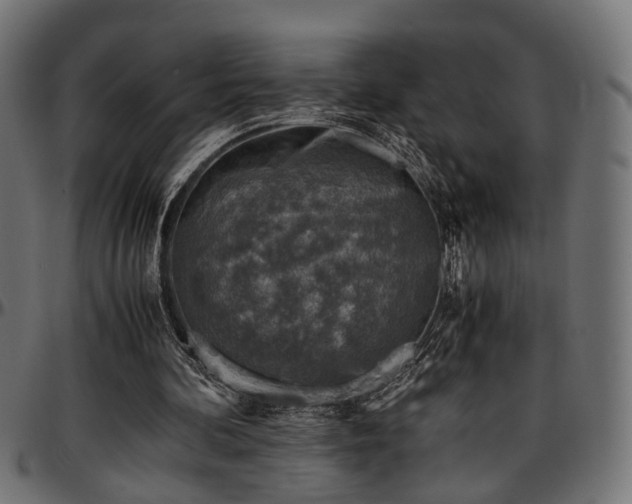X0000096730292200802121321