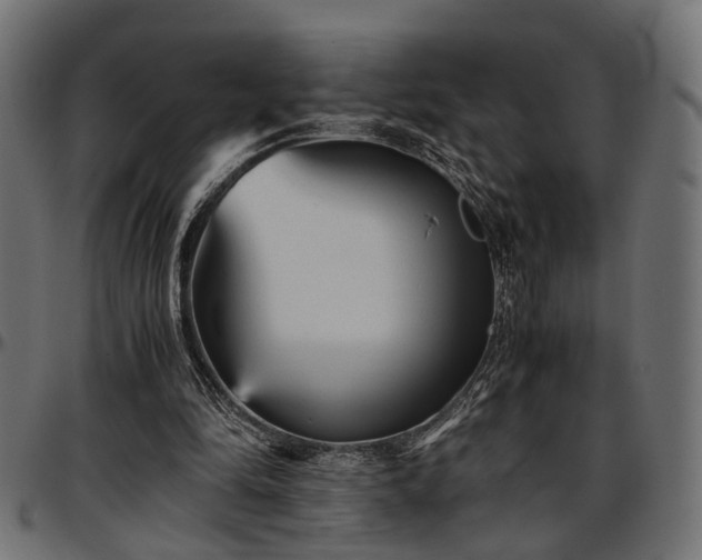 X0000096730294200802121321