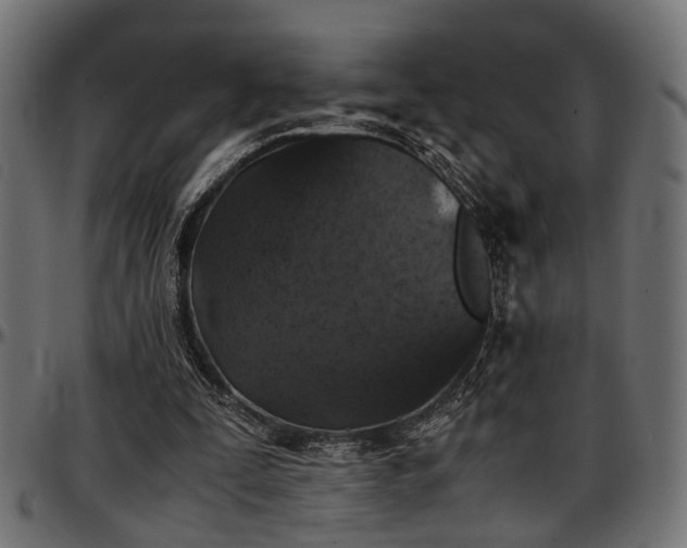 X0000096730295200802121321