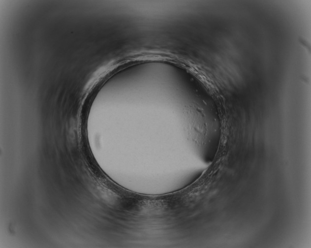 X0000096730296200802121321