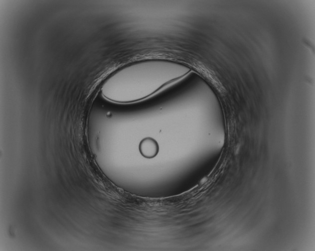 X0000096730297200802121321