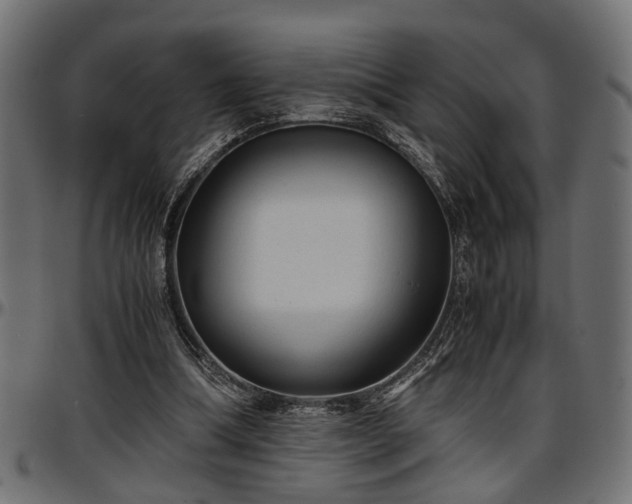 X0000096730298200802121321