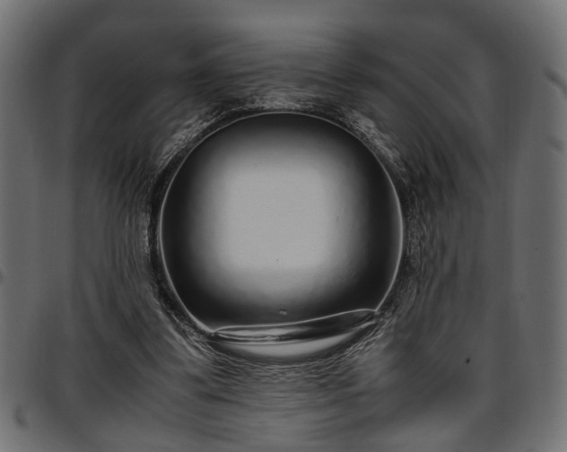 X0000096730299200802121321