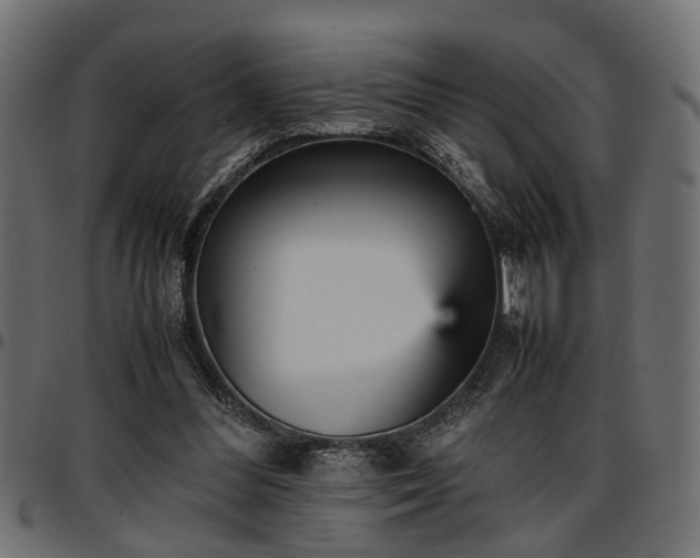X0000096730300200802121321