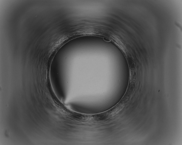 X0000096730301200802121321