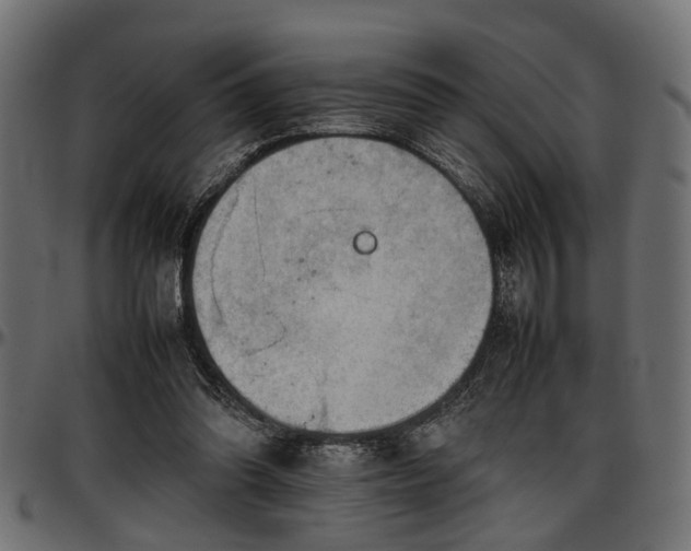 X0000096730302200802121321