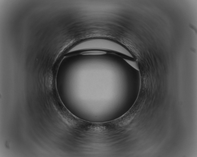 X0000096730304200802121321