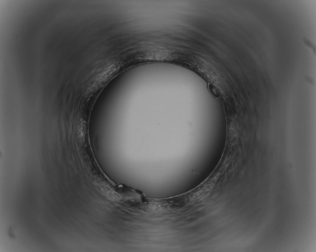 X0000096730305200802121321