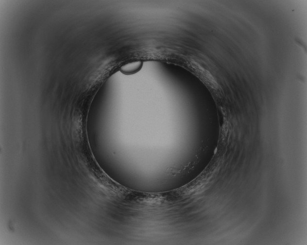 X0000096730306200802121321