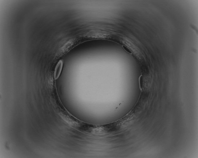 X0000096730309200802121321