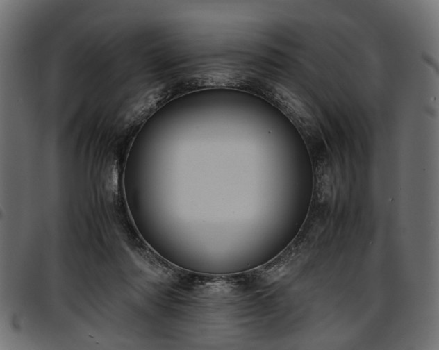 X0000096730310200802121321