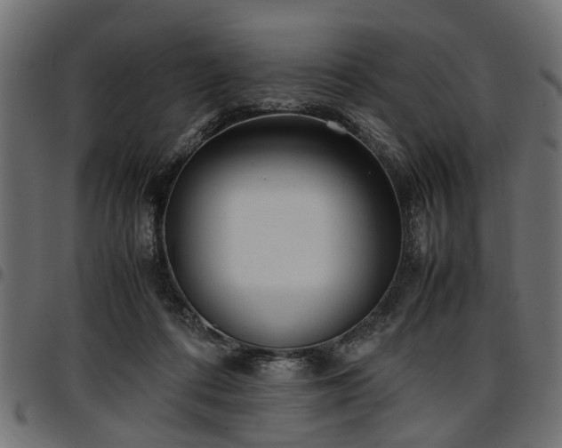 X0000096730312200802121321