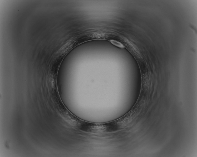 X0000096730313200802121321