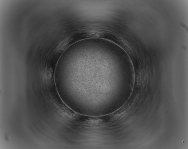 X0000096730314200802121321